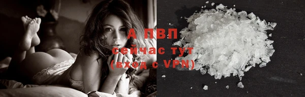 ГАЛЛЮЦИНОГЕННЫЕ ГРИБЫ Баксан