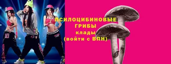 mdpv Снежногорск