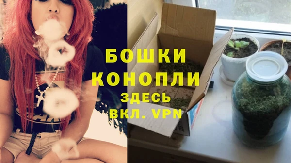 гидра Беломорск