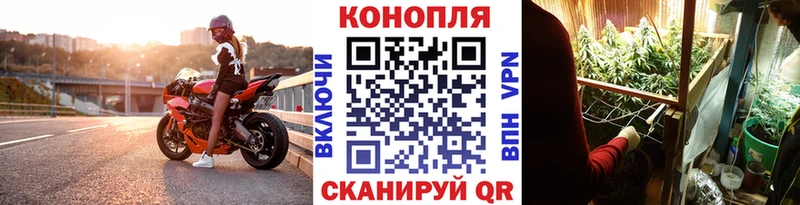 купить наркоту  Курильск  Марихуана THC 21% 